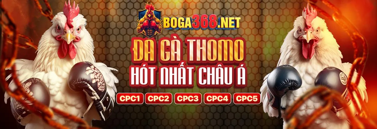 Đá Gà Trực Tuyến EE88 INFO