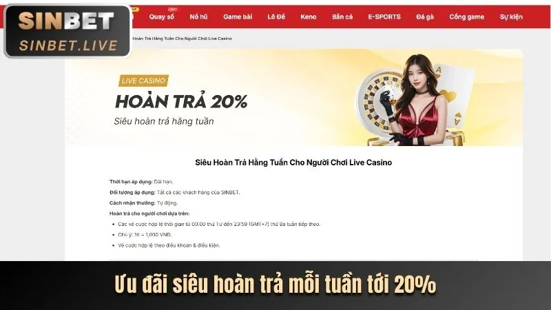 Hoàn Trả Tiền Cược Hàng Tuần/Tháng
